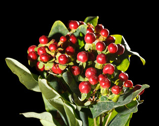 Similar image 2695374