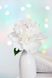 Similar image 2695384