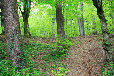 Similar image 2695386