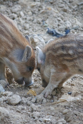 Similar image 2695390