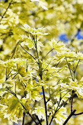 Similar image 2695424