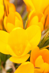 Similar image 2695492