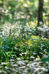 Similar image 2695496