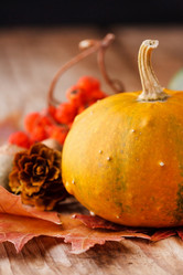 Similar image 2695501