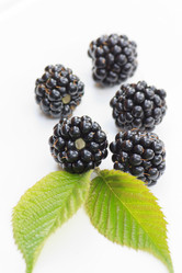 Similar image 2695510