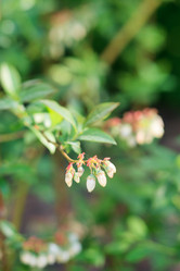 Similar image 2695513