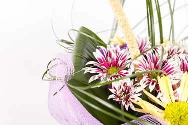 Similar image 2695602