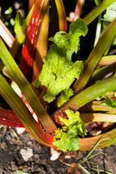 Similar image 2695609