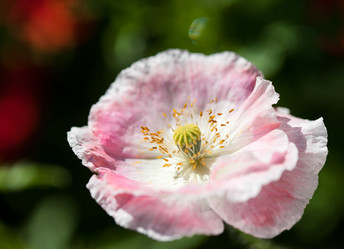 Similar image 2695611