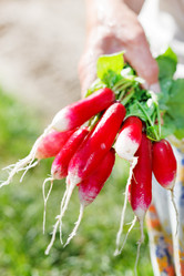 Similar image 2695616