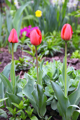 Similar image 2695746