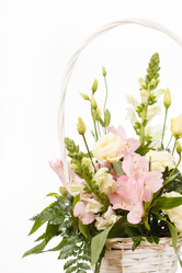 Similar image 2695951