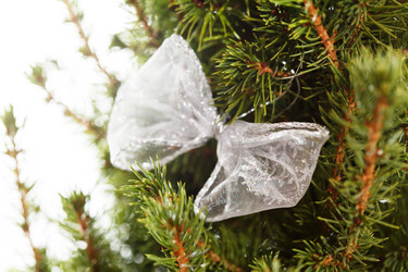 Similar image 2695975