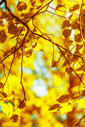 Similar image 2695994