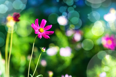 Similar image 2695995