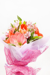 Similar image 2696000