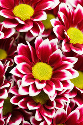 Similar image 2696004