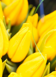 Similar image 2696005