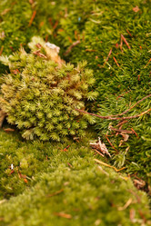 Similar image 2696009