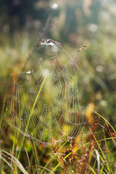 Similar image 2696010