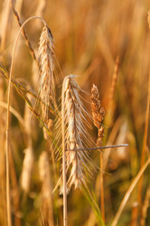 Similar image 2696011