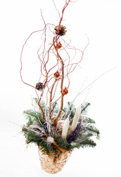 Similar image 2696013