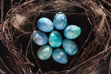 Similar image 2696015