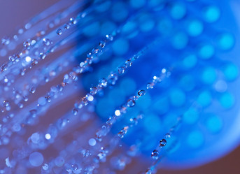 Similar image 2696022