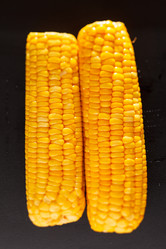 Similar image 2696029