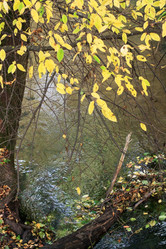 Similar image 2696065