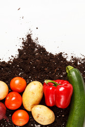 Similar image 2696072