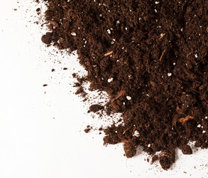 Similar image 2696077