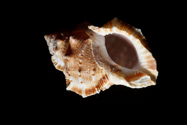 Similar image 2696096