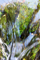 Similar image 2696106