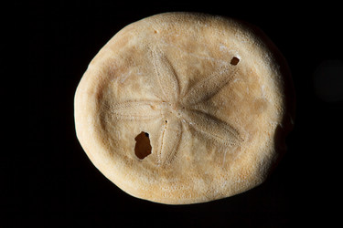 Similar image 2696112