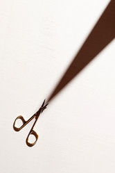 Similar image 2696117