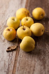 Similar image 2696121