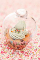 Similar image 2696129