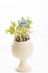 Similar image 2696151