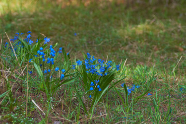 Similar image 2696389