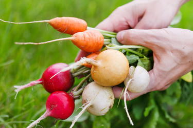 Similar image 2696397