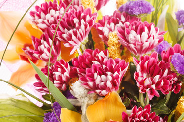 Similar image 2696405