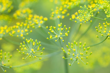 Similar image 2696527