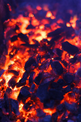 Similar image 2696552