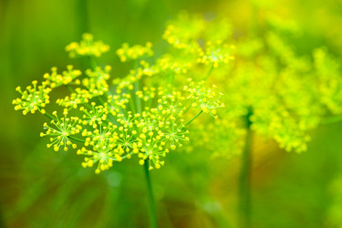 Similar image 2696649