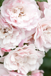 Similar image 2696651