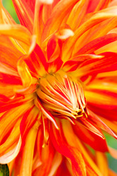 Similar image 2696654