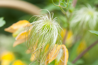 Similar image 2696655