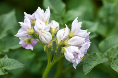 Similar image 2696659