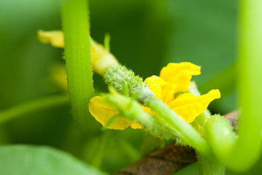 Similar image 2696665